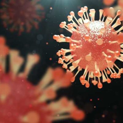 Anti-Viral Properties of Our XDetect Material